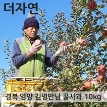 [더자연] 경북 영양 꿀부사 사과 가정용 10kg 59-60과, 상세 설명 참조
