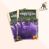 미래웰빙적콜라비 800립 미래종묘 열매채소류 씨앗