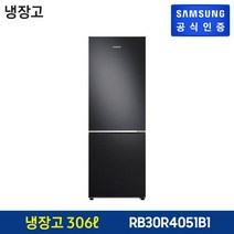 삼성 냉장고 리얼메탈 [RB30R4051B1], 단일속성