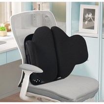 Apnoo 학생 학교 사무실 등받이쿠션 의자 허리 등받이 쿠션, 블랙