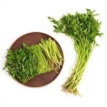 [시즌온] 당일수확 산지직송 암반수 세척 청도 미나리 2kg, 500g*4팩
