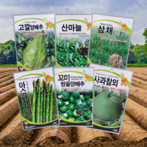 세계 산마늘 명이나물 사과참외 고깔 미니 양배추 궁채나물 밀크씨슬 엉겅퀴 씨 씨앗 종자