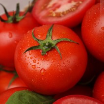 흙살림 상큼한 친환경 무농약 토마토 2kg