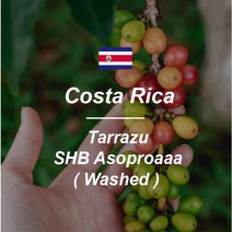 [커피생두] 코스타리카 SHB 따라주 프리미엄 라 파스토라 1kg