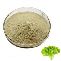 상추추출분말 100g 샘플, 단품, 단품