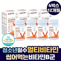 성장기 아이 청소년 데일리 필수 비타민 B군 씨 디 이 씹어먹는 멀티 종합 비타민 A B C E 판토텐산 10 대 수험생 고시생 공시생 중 고등 학생 어린이 초등학생 영양제