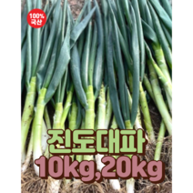 산직직송 참 맛좋고 신선한 대용량 국내산 진도대파 손질 깐대파 [원산지:국산] 대파 파 진도대파 손질대파 대파1단 영호네 쪽파 흙대파 국내산대파, 1개, 5kg