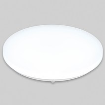 비츠온 LED 원형 방등 60W, 화이트