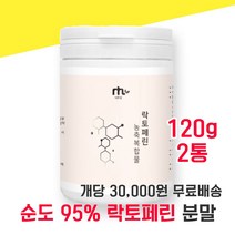 락토페린 락토패린 락토린 라토페린 고순도 농축복합물 우유 초유 초우 단백질 담백질 분말 가루 파우더 유산균 사균체 칼슘 칼숨 홈쇼핑 분리유단백 모로오렌지 레몬밤 자몽 와일드망고, 120g 2통 - 다니마켓