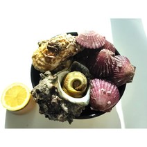 캠핑 삼배체(반손질)하프셀 굴 세트 with 홍가리비 뿔소라, 삼배체 대(2~3미), B(삼배체반손질하프셀 2팩+뿔소라 1kg)
