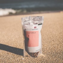 과테말라 원두커피 커피라디오 산타펠리사 블루제이드, 100g, 프렌치프레스