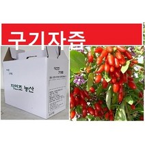 솔잎즙 진액45팩(115ml) 액기스 자연산, 2형(구기자즙45팩
