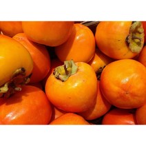 단감 5kg (36-39과) 밀양단감 부유단감 산지발송(OF)
