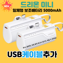 드리온 일체형 미니 보조배터리 5000mAh 8핀 1+1+핫팩, C+C