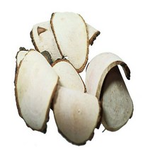 지리산한방식품 야생 벌나무슬라이스 300g/동의보감촌 지리산약초 전문, 1봉, 300g