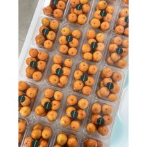 12~14Brix 찐하고 당도 높은 프리미엄 타이벡 감귤 2.5kg
