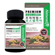 식약청인증 보스웰리아 분말 60정 2달분 보스웰릭산 원물 덩어리 100% 인도산 세라타 유향 나무수액 테르페노이드 고농축 연골관리 복합식품, 보스웰리아1000mgx60정1세트