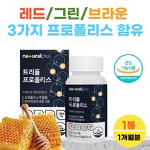 식약처 식약청 신고 레드 그린 브라운 프로폴리스 플라보노이드 아연 구강 코스트코 영양제 1통 비타민 A B D 자일리톨 항산화작용 목관리 잔기침 환절기 BEE PROPOLIS 폴리 폴리스 풀리스 폴라 보노이드 셀레늄 셀래늄, 1개