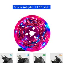 식물성장램프 실내 phytolamp for plant led 전체 스펙트럼 온실 수경 재배 테이프 12v led 라이트 스트립, 조광기 없음, 15m, 방수 없음