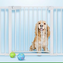 간편설치 편리한사용 반자동 강아지 안전문 강아지출입문 강아지중문, 안전문B타입