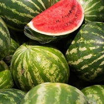 Go Cine Apple Watermelon Special Watermelon 3KG Domestic Watermelon Mango Watermelon, 특급수박 3KG, 본상품선택