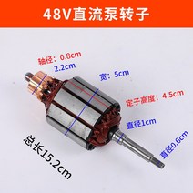 스노쿨링마스크 .직류 수중펌프 풀세트 칼날그물 카본 12V24V4860V72V식솔 날개바퀴 회전자 k스테인레스, T06-48V모터 회전자 1inch2inch