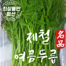 국내산 제철 두릅 향긋한 산지직송 여름두릅 1kg, 여름제철 두릅 1kg, 1개