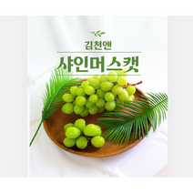 탱글달콤 고당도 김천앤 샤인머스캣 프리미엄 추석 선물세트, 프리미엄 샤인머스켓 2kg 3수