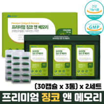은행잎추출물 징코 식약청인정 비타민E 아연 기억력 혈행 개선 프리미엄징코앤메모리, 2세트, (30캡슐 x 3통)