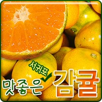 서귀포농원 23년 첫수확 고당도 노지감귤 5kg 10kg, 1개, 고당도 감귤 5kg로얄과(S~M)