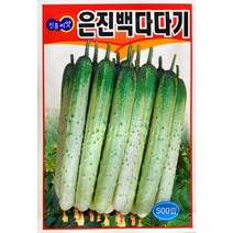 은진백다다기오이 오이씨앗 500립