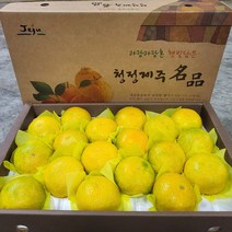 산지직송 고당도 제주 황금향 가정용 선물용, 3kg 가정용 꼬마과 (20과 내외)