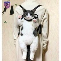 배낭 캐릭터 고양이 가방 선물 동물가방, 블루 화이트 하운드 베개