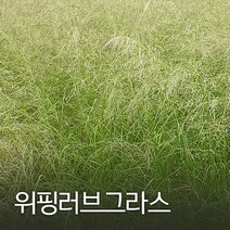 코리아팜 위핑러브 그라스500g