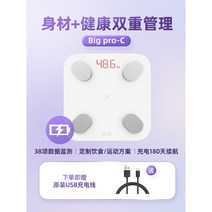 디지털 스마트 체중계 근육량 체지방 채중계 정확한 가정용 체성분 저울 몸무게 측정기 계산기, Big Pro-38 데이터 - 송충전선