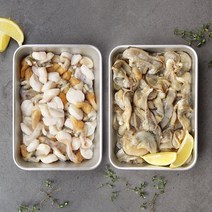 키조개 꼭지살 500g, 1box, 키조개 냉동 날개살 500g