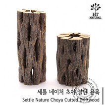 세틀 절단 초야우드 L (선인장 유목) /수족관 어항 수조 CRS 레드비쉬림프 놀이터 은신처 장식품 나나 활착