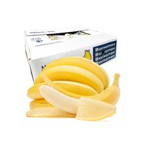 대용량 고당도 바나나 8~6손(13kg) 1박스, 대용량 고당도 필리핀 바나나 8~9손(소과)13kg