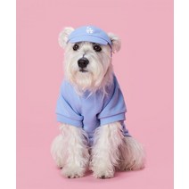 (정품)MLB 엠엘비 PET 빅로고 맨투맨 LA (SKY BLUE), M