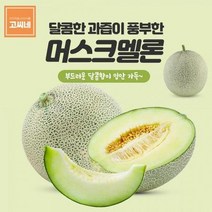 ForU510 멜론 국산메론 멜론종류 2kg 메론 가격 양구 곡성 세지 머스크 칸탈로프, 상세페이지 참조