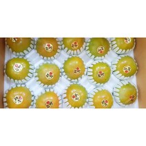 2023년 고당도 태추단감 가정용 흠집과 가을단감 2kg (13과내외), 1개
