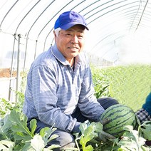 고당도 수박 프리미엄 꿀 고창 함안 양구 임산부 미니, 당도선별 꿀 수박 6kg