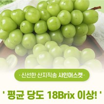 김천 평균 당도 18brix 황제 샤인머스켓 2kg 농장 직송 신선한 청포도 애플포도, 2kg (3~4수 특품), 1개