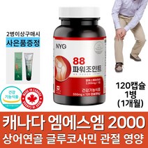 캐나다 수입 엠에스엠 MSM 2000 mg 상어연골 글루코사민 운동 선수 어깨 손목 발목 허리 무릎 팔꿈치 조인트 관절 영양제 정제 msn 함량높은 제품 식 약 처 인증, 1병