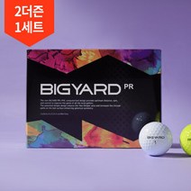 2더즌 총24구/넥센 빅야드 PR 2피스 골프공, 단품, 선택:빅야드 PR 4컬러 2더즌_소형 쇼핑백