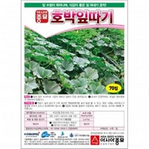 호박씨앗종자 호박잎따기 (70립)