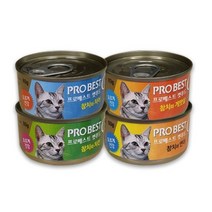 프로베스트 캣푸드 고양이 간식캔, 24개입, 참치 + 연어 혼합맛