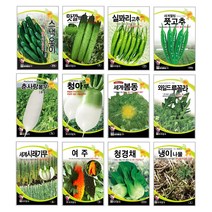 오이씨앗 아삭한 주렁주렁 미니 청스낵오이 노각 백다다기 종자 씨앗몰 봄 재배 키우기 심기 텃밭가꾸기 웰빙 쌈채소 궁채나물 줄기상추 씨앗, 더덕 1000립