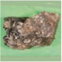 교과서 핵심광물표본(적철석) hs-2066 / 40X50mm