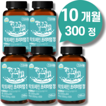 락토페린 다이어트 뱃살 복부지방 300mg 식약처인정 식약청인증 스키니랩 락토페린 프리미엄 정, 락토페린 프리미엄 정(10개월)